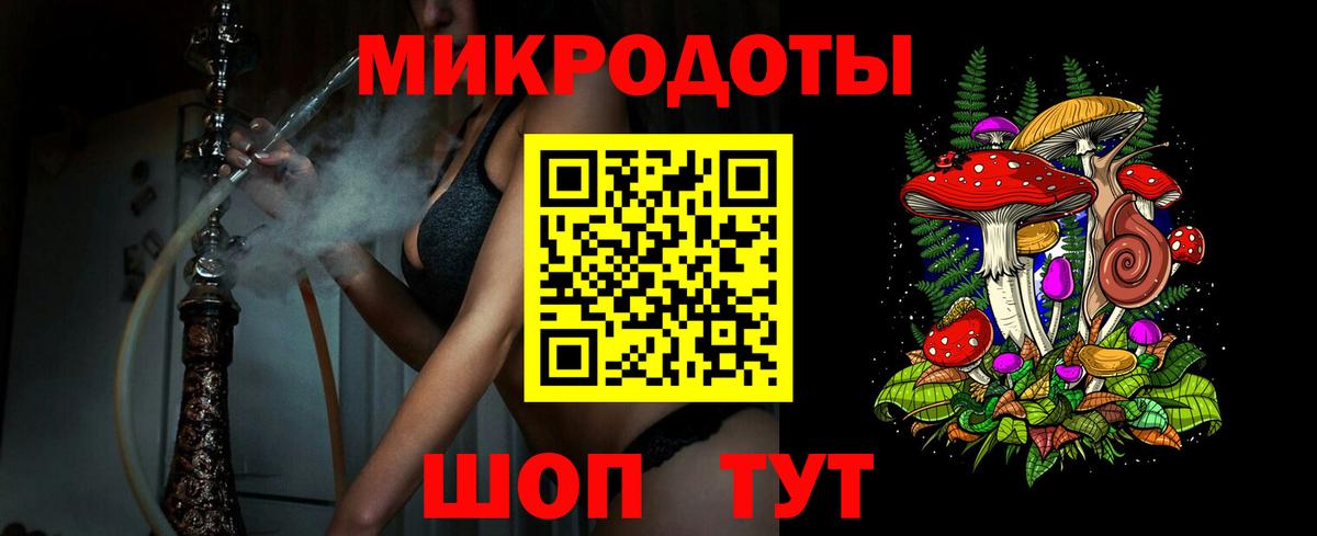 ГАШ Владикавказ
